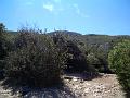 2006-08 Sainte Victoire 035